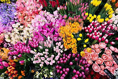 探索幽腐之秘！《夜族崛起》现已推出大型免费更新！